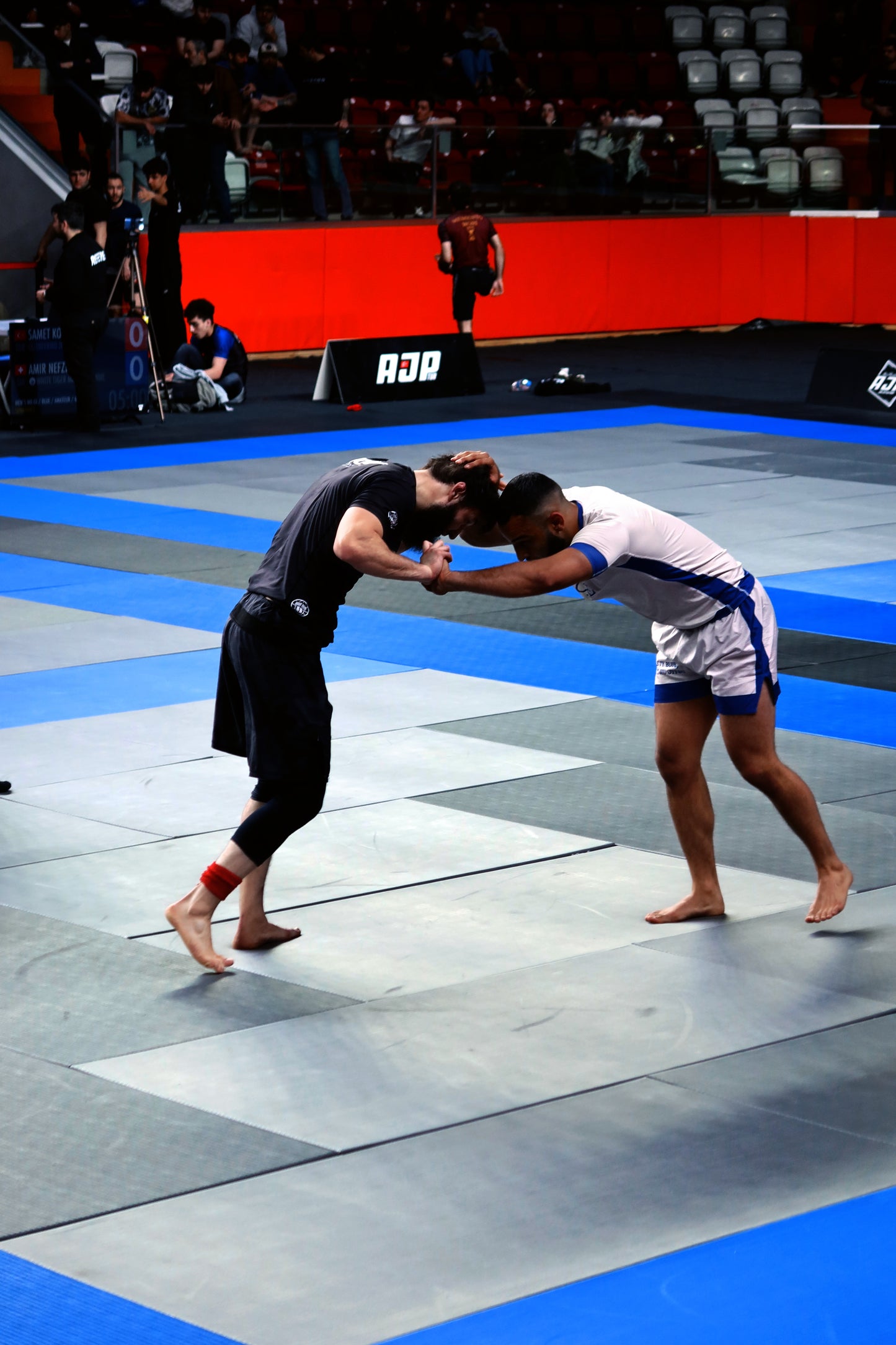 DIONE NO-GI "Royalty Blue" RASHGUARD FIGHT WEAR